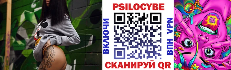 Галлюциногенные грибы Psilocybe  Десногорск 